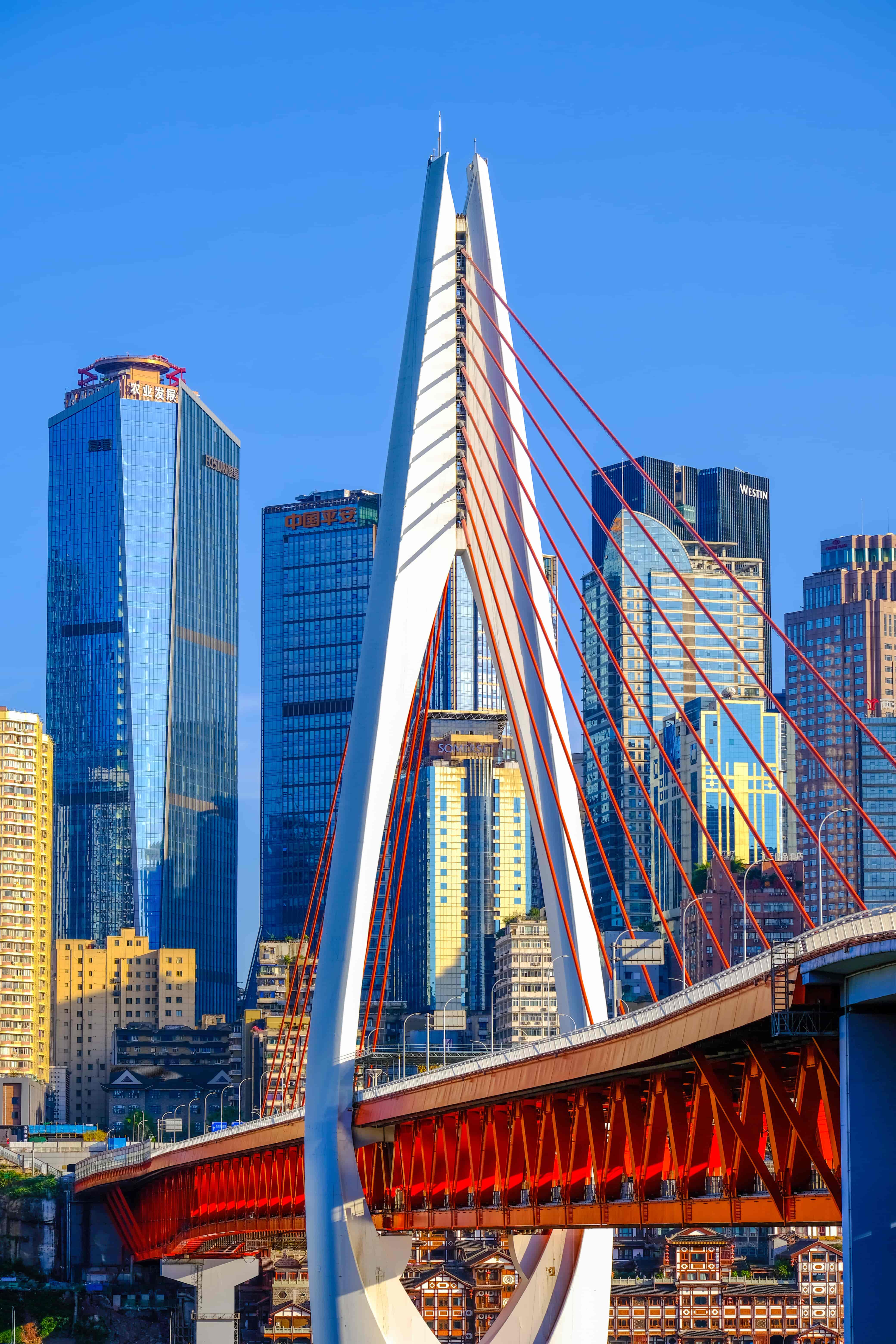 l7hn8wz8.png l7hn8wz8.png