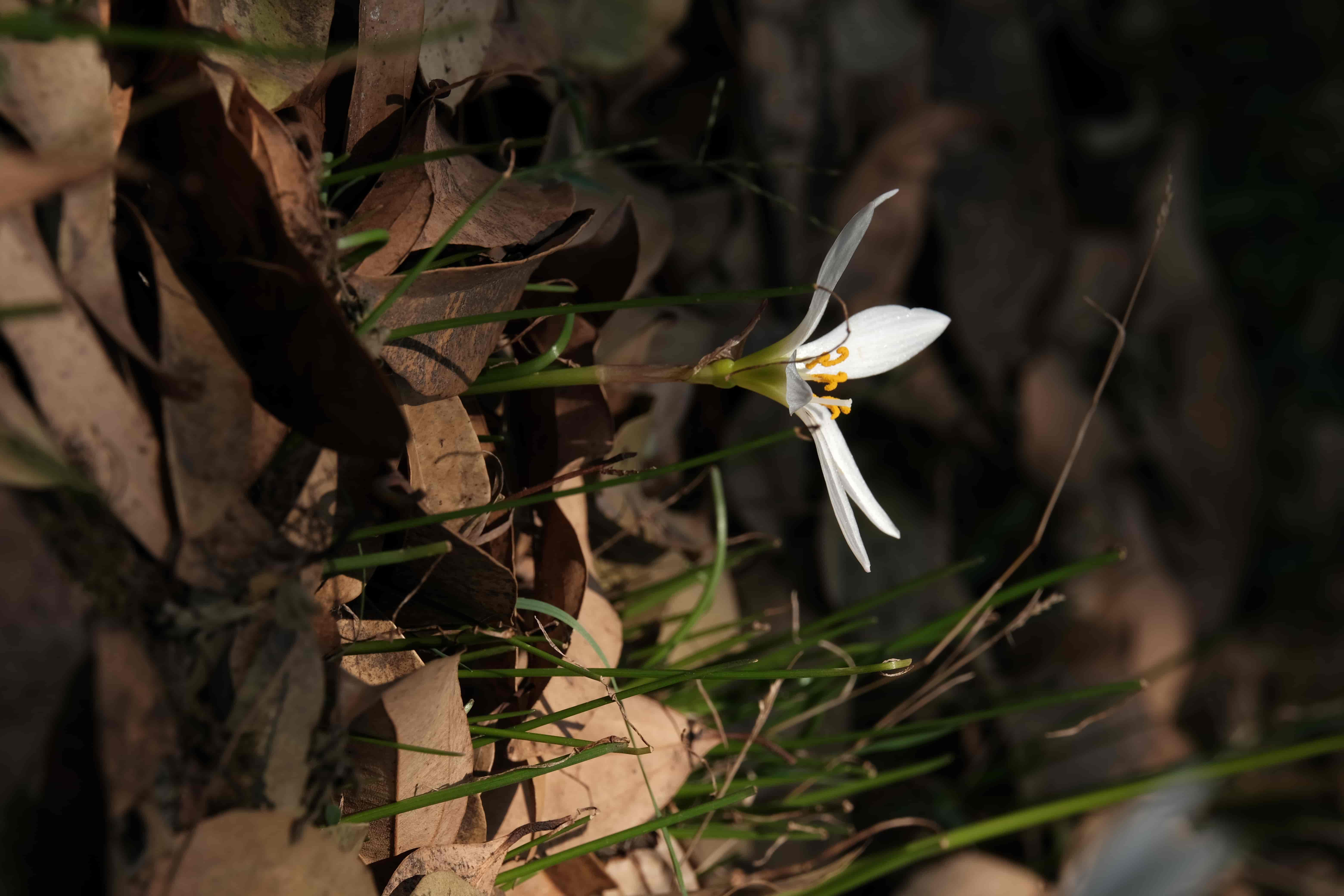 l8aa898t.png l8aa898t.png