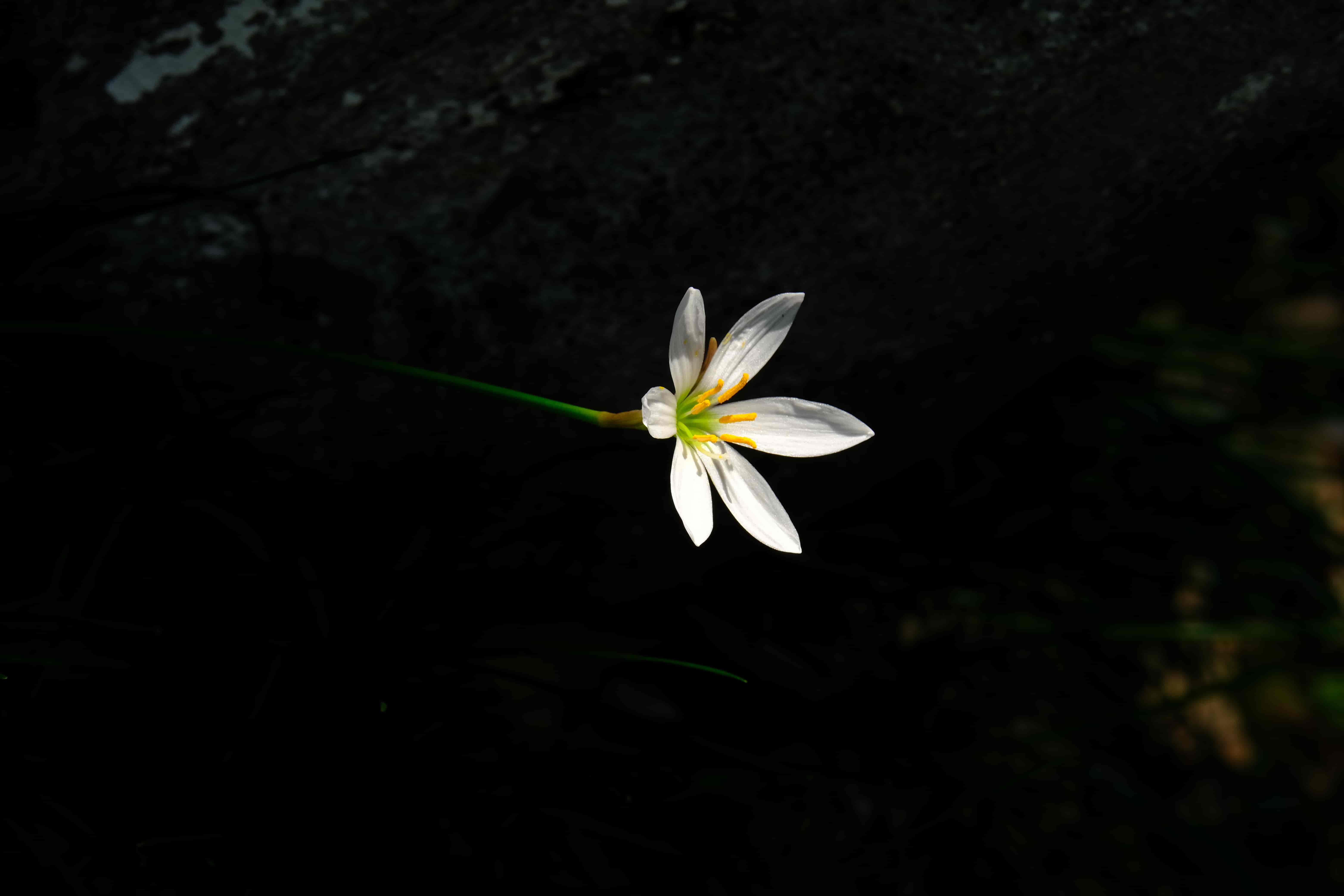 摄影日记｜日升月落 总有黎明