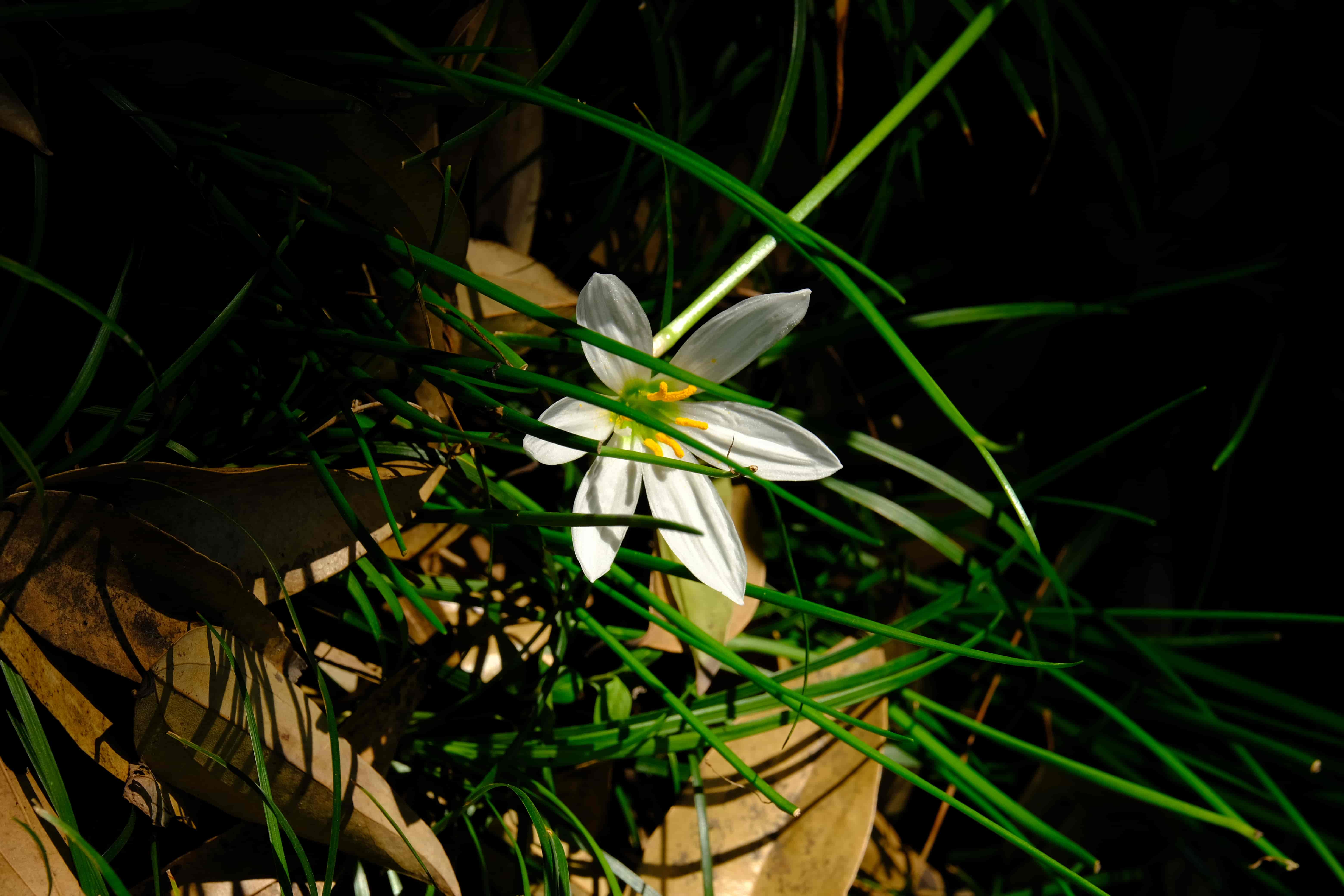 l8aa7xs8.png l8aa7xs8.png